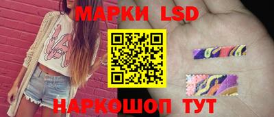 тгк Новодвинск