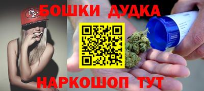 тгк Новодвинск