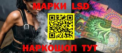 дмт Новозыбков
