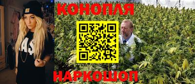 дмт Новозыбков