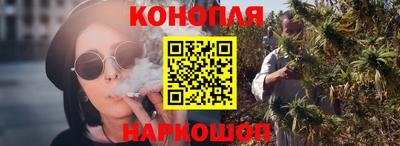 тгк Новодвинск