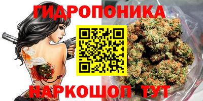 бошки Новокубанск