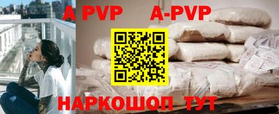 тгк Новодвинск